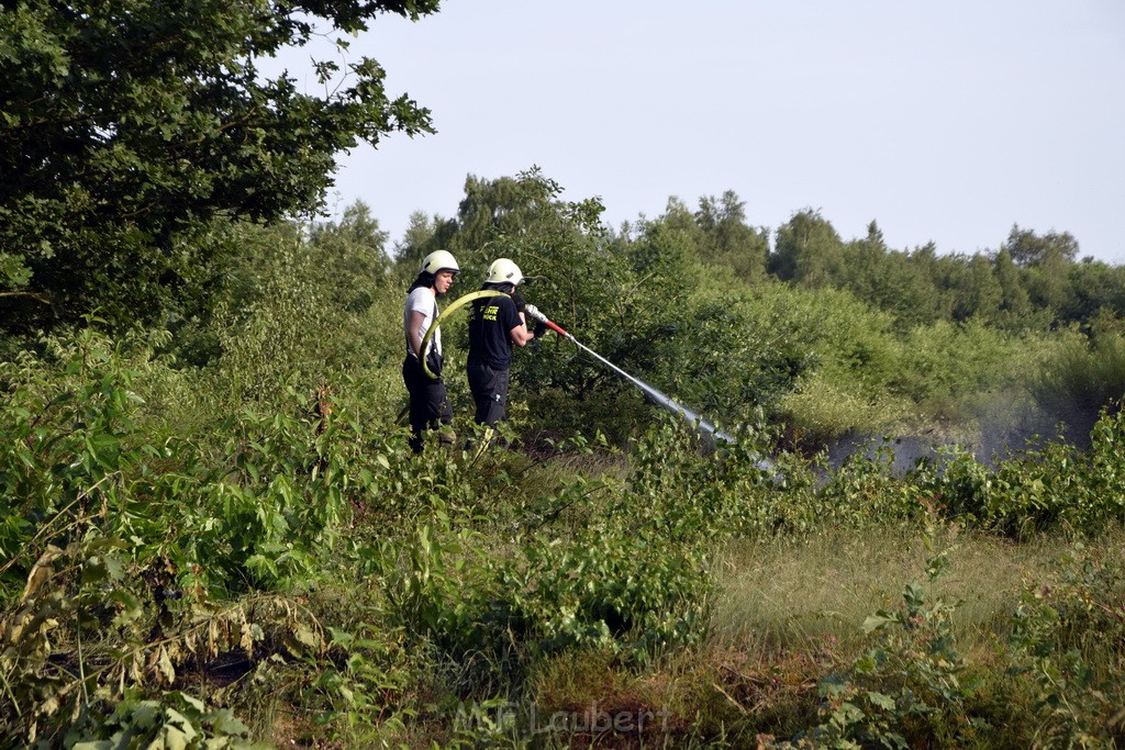 Waldbrand Koeln Hoehenhaus Hoehenfelder Mauspfad P136.JPG - Miklos Laubert